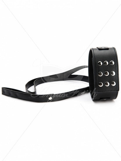 Argus Large Collar with Leash - AF 001020